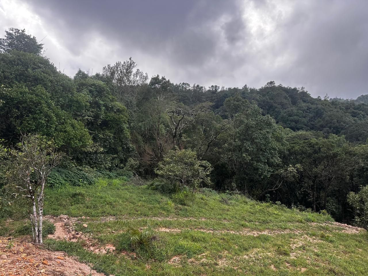 5 Acre Land for Sale – Devaramane, Mudigere (Chikkamagaluru District)